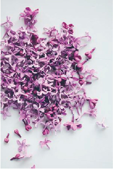 Radiant Orchid, Radiant Orchid Inspiration, 2014 Color of the Year, Pantone 18-3224, Purple Weddings, Purple wedding inspiration, Orchid wedding Inspiration, Moodboard, Pinterest inspiration, Purple Invitations, Orchid Wedding